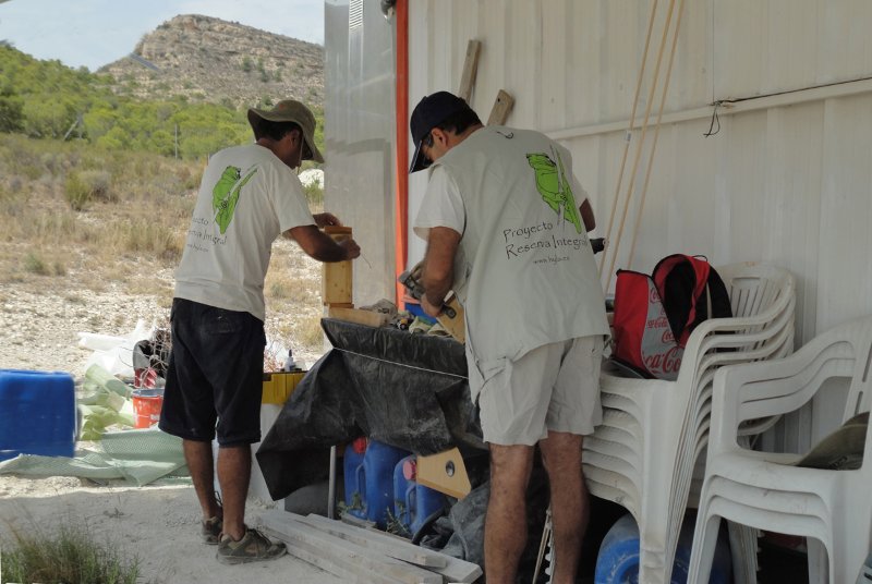 Colocacion cajas nido
